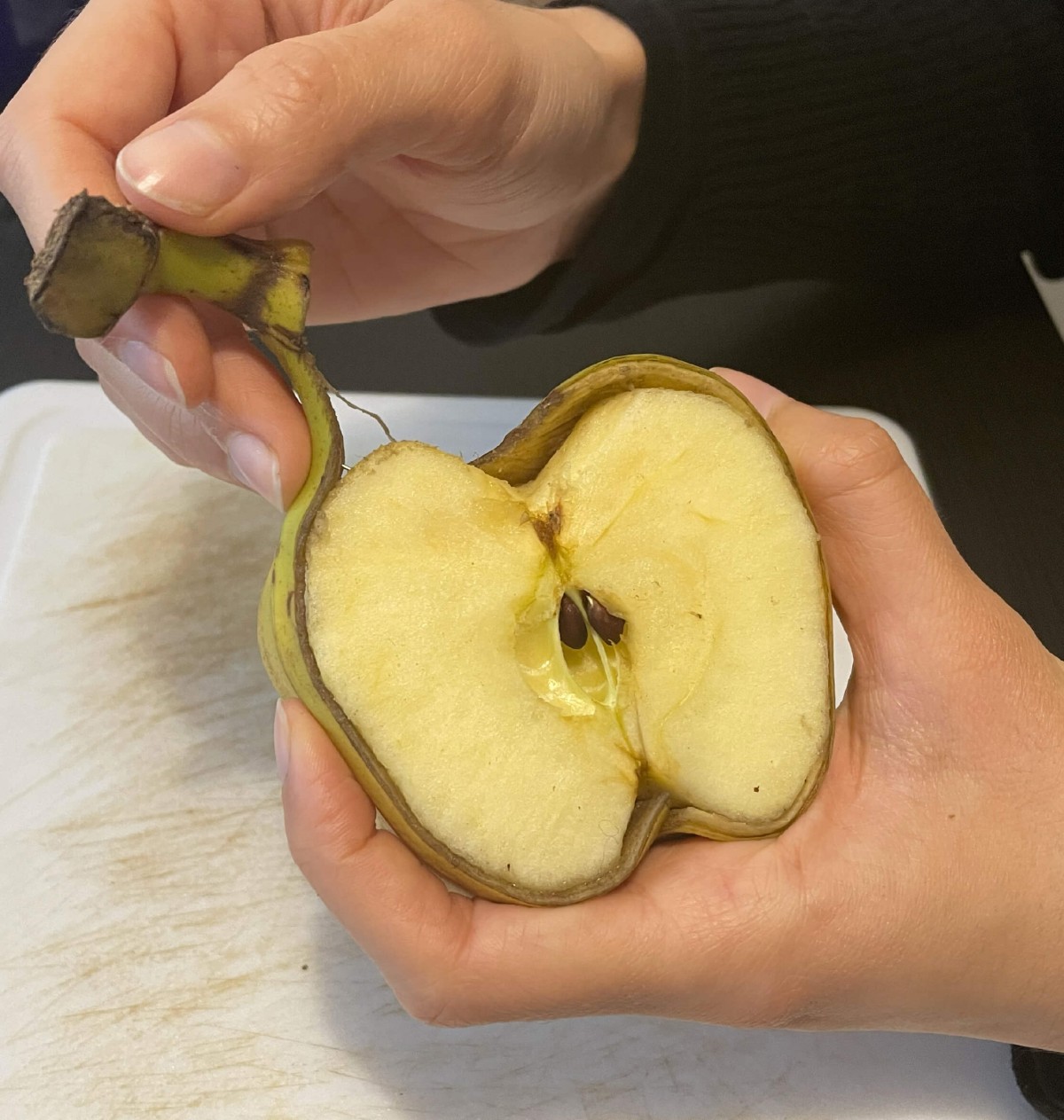 photo_pomme